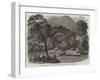 The Lord-Lieutenant in Killarney, the Viceregal Barge Shooting the Rapids of Old Weir-Bridge-null-Framed Giclee Print