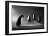 The Loser-Victoria Ivanova-Framed Premium Photographic Print