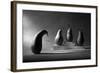 The Loser-Victoria Ivanova-Framed Photographic Print