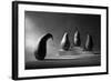 The Loser-Victoria Ivanova-Framed Photographic Print