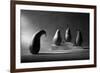 The Loser-Victoria Ivanova-Framed Photographic Print