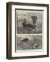 The Loss of the Yacht Mignonette-null-Framed Premium Giclee Print