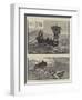 The Loss of the Yacht Mignonette-null-Framed Premium Giclee Print