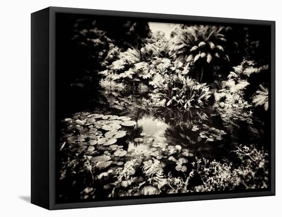 The Lost Gardens of Heligan-Tim Kahane-Framed Stretched Canvas