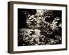 The Lost Gardens of Heligan-Tim Kahane-Framed Photographic Print