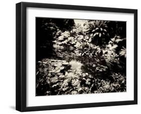 The Lost Gardens of Heligan-Tim Kahane-Framed Photographic Print