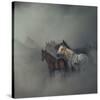 The Lost Horses-Huseyin Ta?k?n-Stretched Canvas