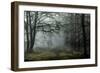 The Lost Spirit-David Baker-Framed Premium Photographic Print