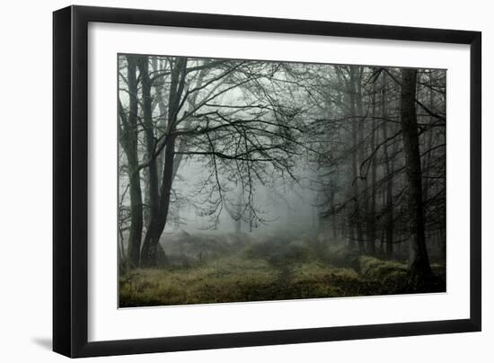 The Lost Spirit-David Baker-Framed Premium Photographic Print