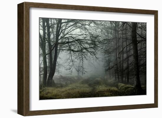 The Lost Spirit-David Baker-Framed Photographic Print