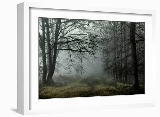 The Lost Spirit-David Baker-Framed Photographic Print