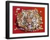 The Lost Tiger-D. Rusty Rust-Framed Giclee Print