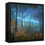 The Lost Trail-Stephen Mitchell-Framed Stretched Canvas