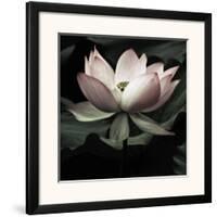 The Lotus I-Andy Neuwirth-Framed Art Print