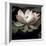 The Lotus I-Andy Neuwirth-Framed Photo