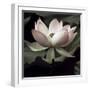 The Lotus I-Andy Neuwirth-Framed Photo