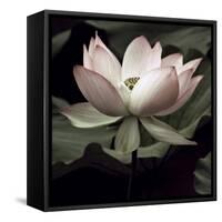 The Lotus I-Andy Neuwirth-Framed Stretched Canvas