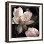 The Lotus II-Andy Neuwirth-Framed Photo