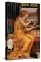 The Love Potion, 1903-Evelyn De Morgan-Stretched Canvas