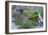 The Love-Shikhei Goh-Framed Photographic Print