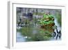 The Love-Shikhei Goh-Framed Photographic Print