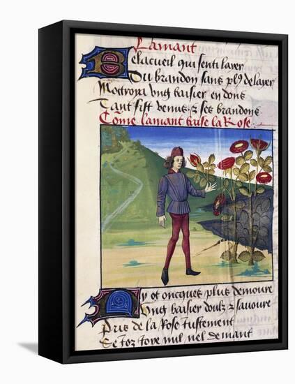 The Lover with the Rose in His Hand, Miniature from the Allegorical Poem Romance of the Rose-Guillaume De Lorris-Framed Stretched Canvas
