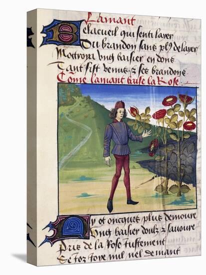 The Lover with the Rose in His Hand, Miniature from the Allegorical Poem Romance of the Rose-Guillaume De Lorris-Stretched Canvas