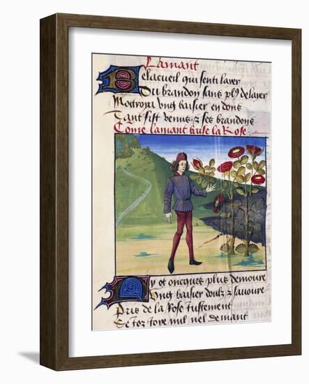 The Lover with the Rose in His Hand, Miniature from the Allegorical Poem Romance of the Rose-Guillaume De Lorris-Framed Giclee Print