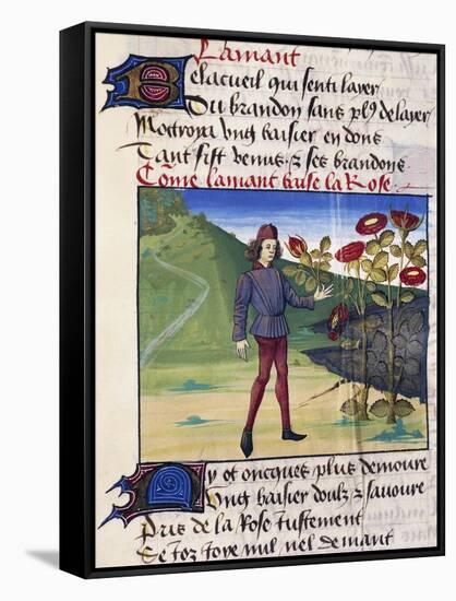 The Lover with the Rose in His Hand, Miniature from the Allegorical Poem Romance of the Rose-Guillaume De Lorris-Framed Stretched Canvas