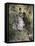 The Lovers-Pierre-Auguste Renoir-Framed Stretched Canvas