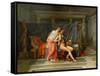 The Loves of Helen and Paris-Jacques Louis David-Framed Stretched Canvas