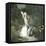 The Lower Falls of the Reichenbach (Switzerland), Circa 1865-Leon, Levy et Fils-Framed Stretched Canvas