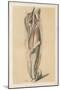 The Lower Limb. Deep Muscles of the Calf, and the Popliteal Vessels and Nerves-G. H. Ford-Mounted Giclee Print