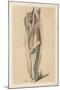 The Lower Limb. Deep Muscles of the Calf, and the Popliteal Vessels and Nerves-G. H. Ford-Mounted Giclee Print