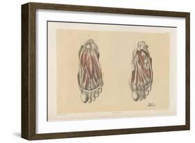 The Lower Limb. First and Second Stages in the Examination of the Sole of the Foot-G. H. Ford-Framed Giclee Print