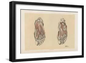 The Lower Limb. First and Second Stages in the Examination of the Sole of the Foot-G. H. Ford-Framed Giclee Print