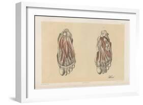 The Lower Limb. First and Second Stages in the Examination of the Sole of the Foot-G. H. Ford-Framed Giclee Print