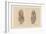 The Lower Limb. First and Second Stages in the Examination of the Sole of the Foot-G. H. Ford-Framed Giclee Print