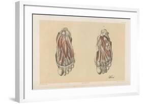 The Lower Limb. First and Second Stages in the Examination of the Sole of the Foot-G. H. Ford-Framed Giclee Print