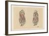 The Lower Limb. First and Second Stages in the Examination of the Sole of the Foot-G. H. Ford-Framed Giclee Print