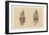 The Lower Limb. Third and Fourth Stages of the Dissection of the Sole of the Foot-G. H. Ford-Framed Giclee Print