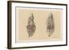 The Lower Limb. Third and Fourth Stages of the Dissection of the Sole of the Foot-G. H. Ford-Framed Giclee Print