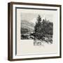 The Lower Ottawa, Mcgillivray's Chute, River Rouge, Canada, Nineteenth Century-null-Framed Giclee Print