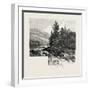 The Lower Ottawa, Mcgillivray's Chute, River Rouge, Canada, Nineteenth Century-null-Framed Giclee Print