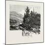 The Lower Ottawa, Mcgillivray's Chute, River Rouge, Canada, Nineteenth Century-null-Mounted Giclee Print