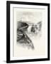 The Lower St. Lawrence and the Saguenay, Chicoutimi, Canada, Nineteenth Century-null-Framed Giclee Print