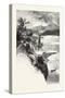 The Lower St. Lawrence and the Saguenay, Murray Bay, Canada, Nineteenth Century-null-Stretched Canvas