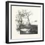 The Lower St. Lawrence and the Saguenay, the Bay of Gaspe, Canada, Nineteenth Century-null-Framed Giclee Print