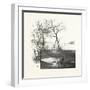 The Lower St. Lawrence and the Saguenay, the Bay of Gaspe, Canada, Nineteenth Century-null-Framed Giclee Print