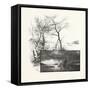 The Lower St. Lawrence and the Saguenay, the Bay of Gaspe, Canada, Nineteenth Century-null-Framed Stretched Canvas